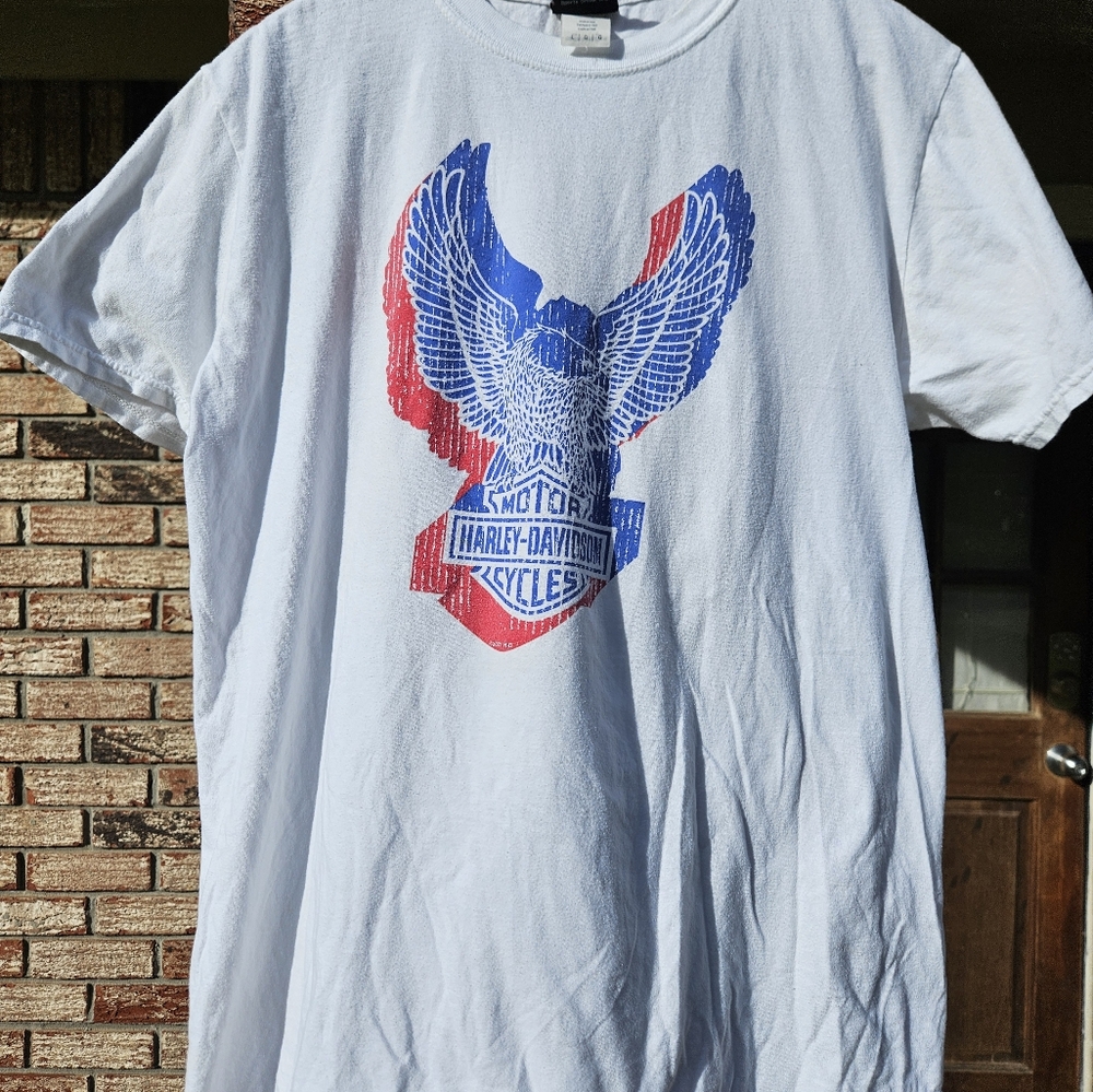 Harley-Davidson Motorcycles Mens size large tshirt short sleeve PIGEON FORGE TN